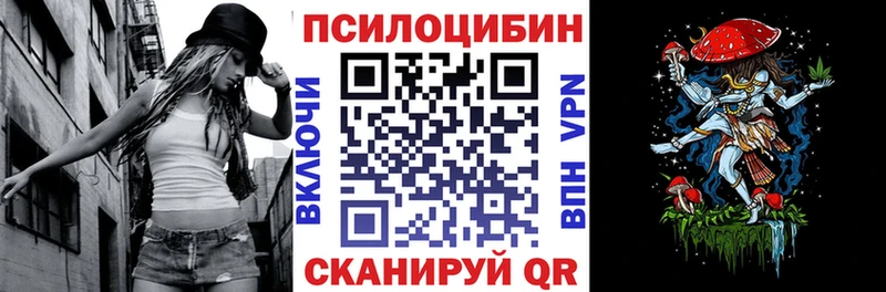 Псилоцибиновые грибы Psilocybe  купить наркотик  Чулым 